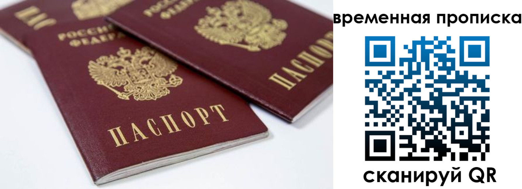 прописка для школы в Боброве